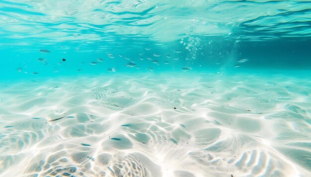 A Journey Through the World's Most Crystal-Clear Waters: The Top 10 Destinations