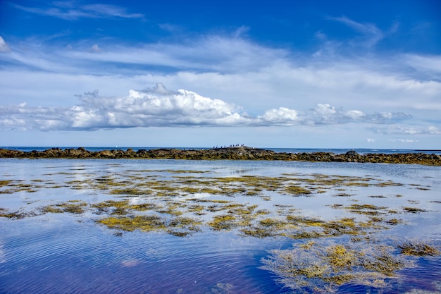 Canada's Enchanting Spotted Lake Oasis
