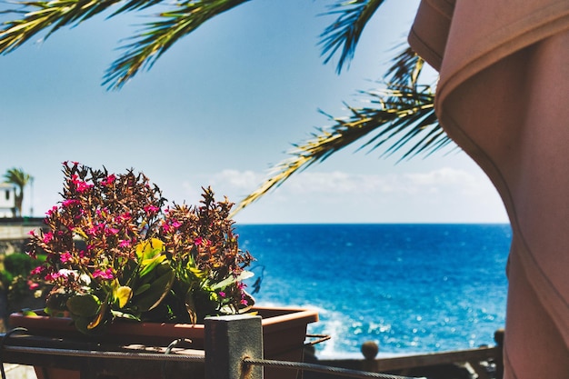 Greece: Exploring the Stunning Beaches of Zakynthos Island